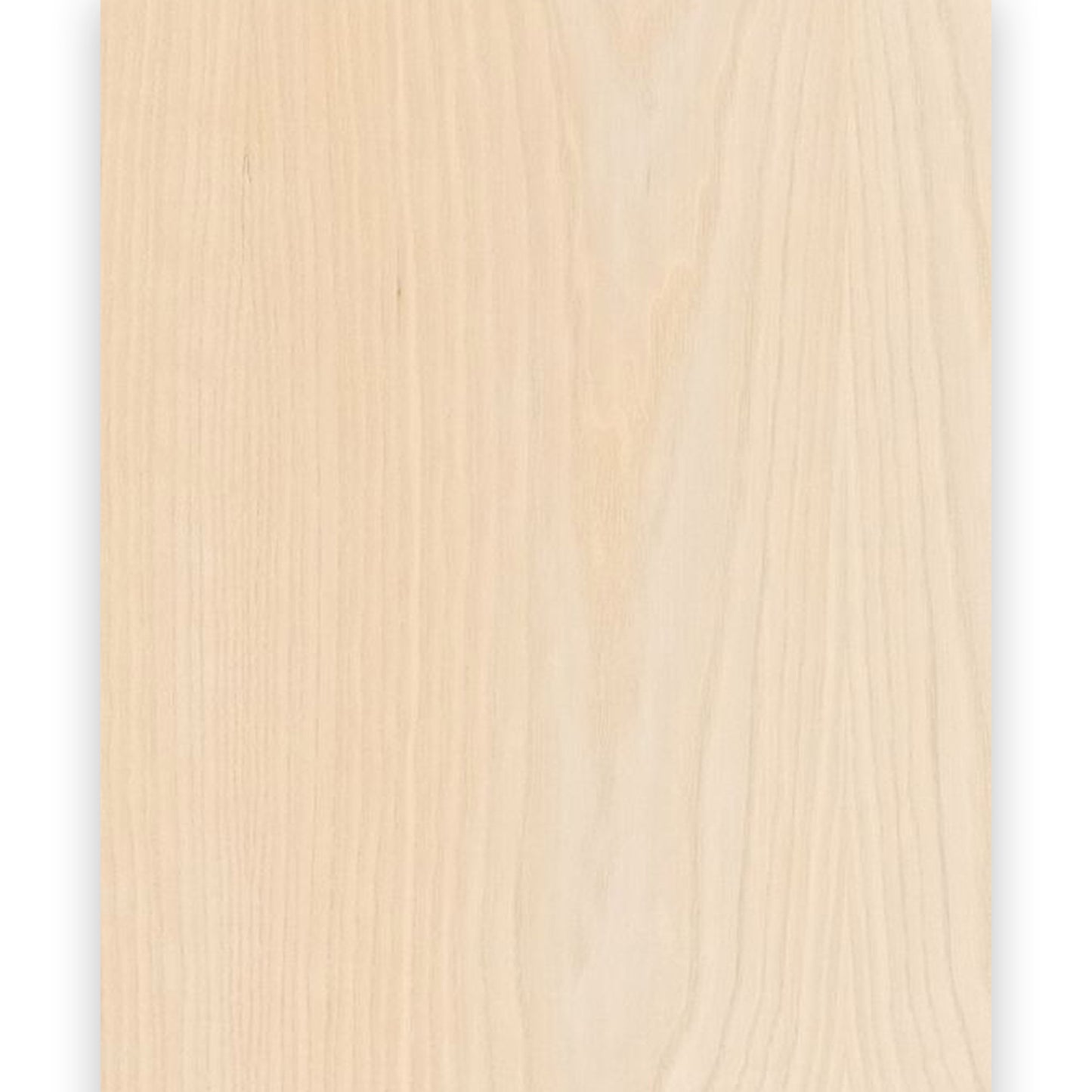 Ash Veneered MDF - 19mm