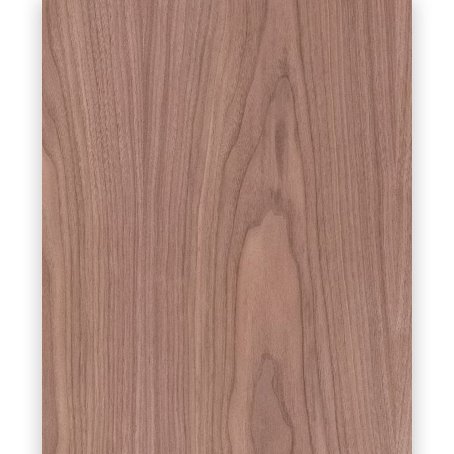 American Black Walnut Veneered MDF - 19mm
