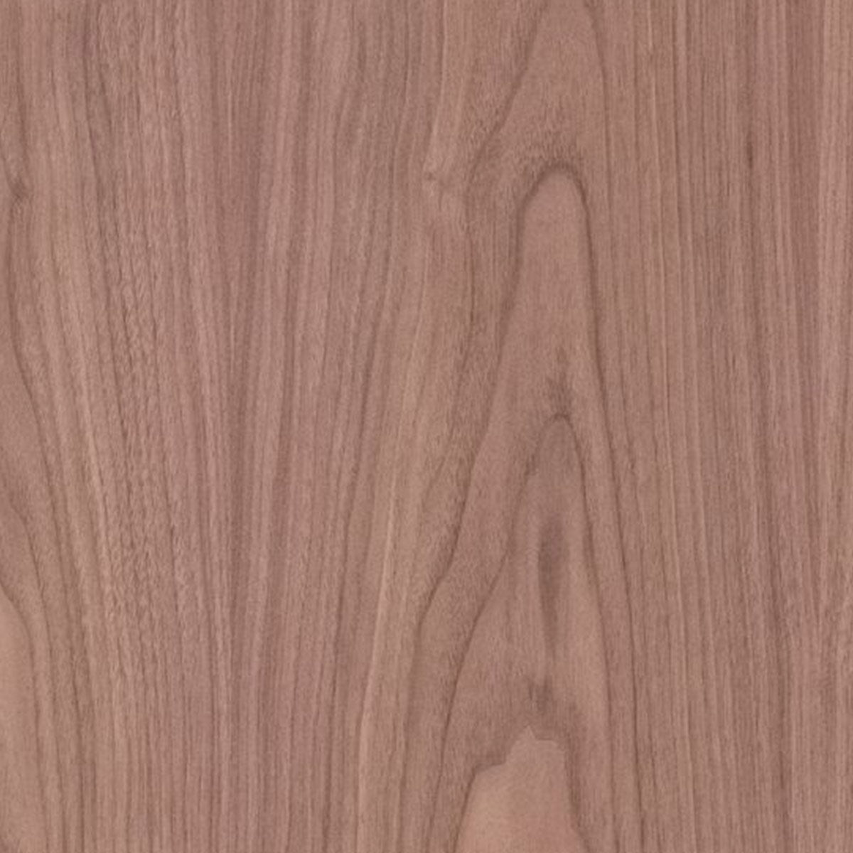 American Black Walnut Veneered MDF - 19mm